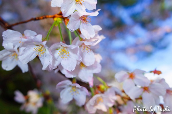 20160401-R0000200