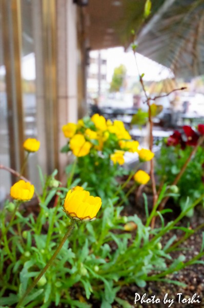 20160404-R0000006