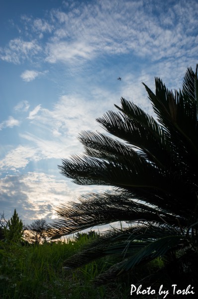 20160422-R0000019