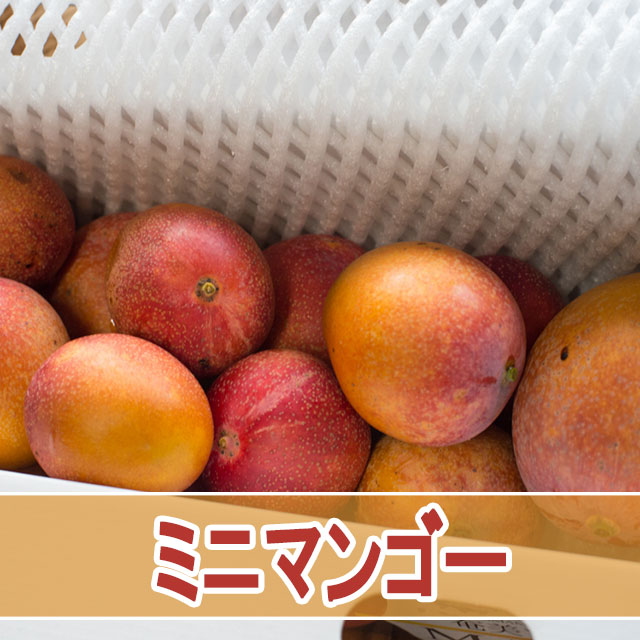 マンゴージャンキーは知っている！超絶に美味い【ミニマンゴー】 | 花徳マンゴー