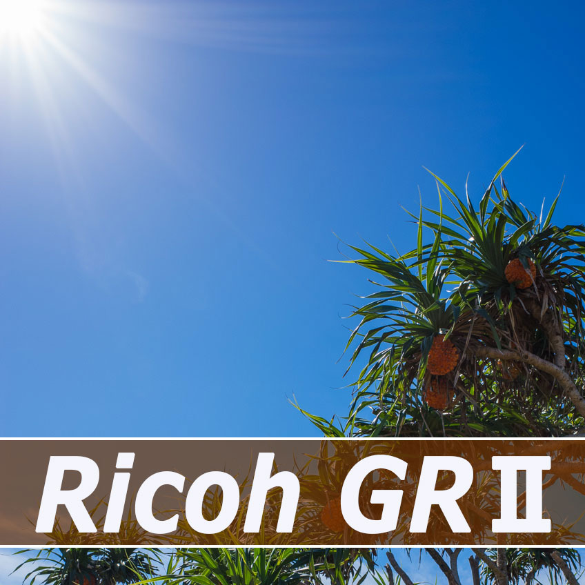 【Ricoh GR2】を購入してから初の夏を迎えた！ | 花徳マンゴー