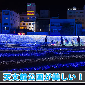 【鹿児島観光】天文館公園で光り輝くイルミネーションが美しい！ | 花徳マンゴー