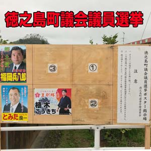 【徳之島】2018年(平成30年)の「町議会議員選挙」について | 花徳マンゴー